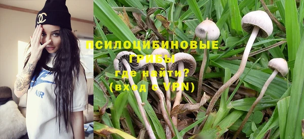 прущие грибы Краснотурьинск