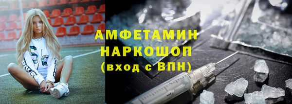 индика Краснослободск