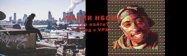 индика Краснослободск