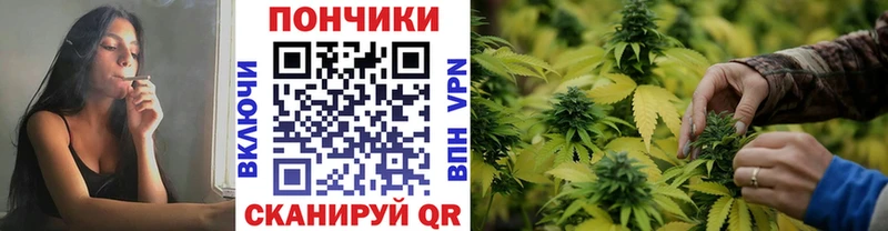 Конопля сатива  Купить где  Лагань 